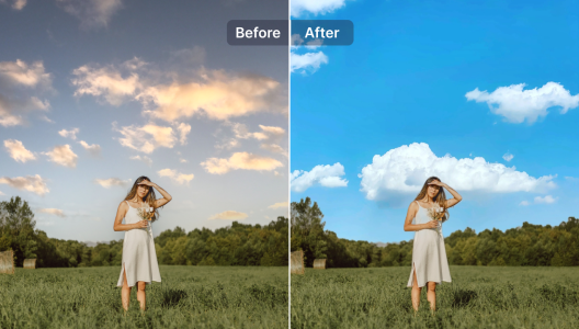snap main feature