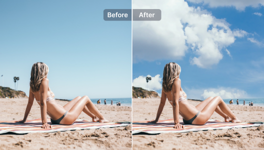snap main feature
